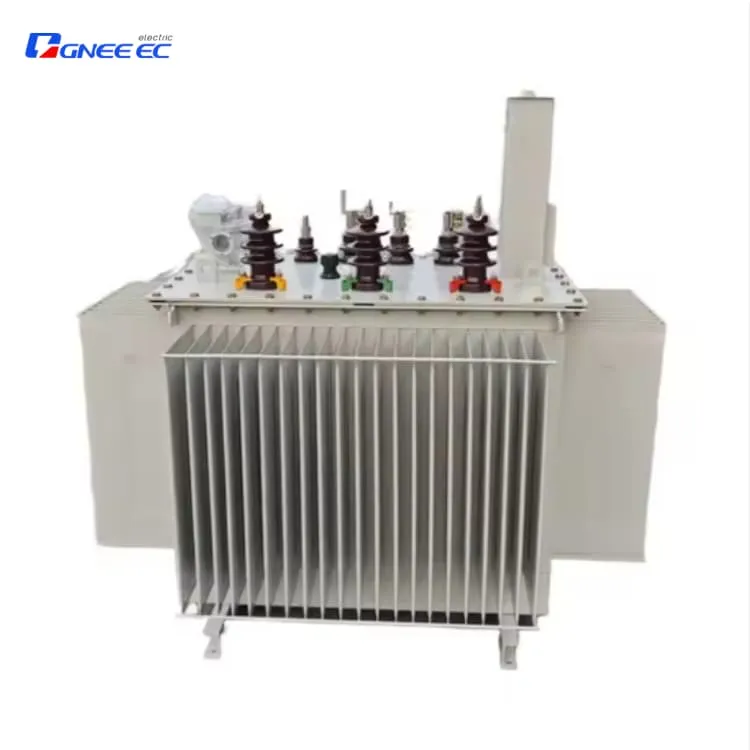 100KVA/10KV IEC Standard Oil Distribution Transformer